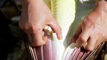 Partie 3- Preserving the ancient craft of pickling