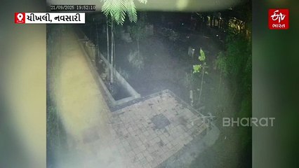 ચીખલીના રહેણાંક વિસ્તારમાં દીપડાના આંટાફેરા, વન વિભાગે પાંજરૂ ગોઠવ્યું