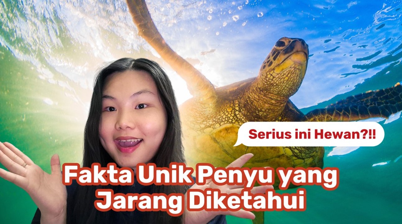 Fakta Unik Penyu, Penjaga Lautan Berumur Panjang-Serius Ini Hewan?