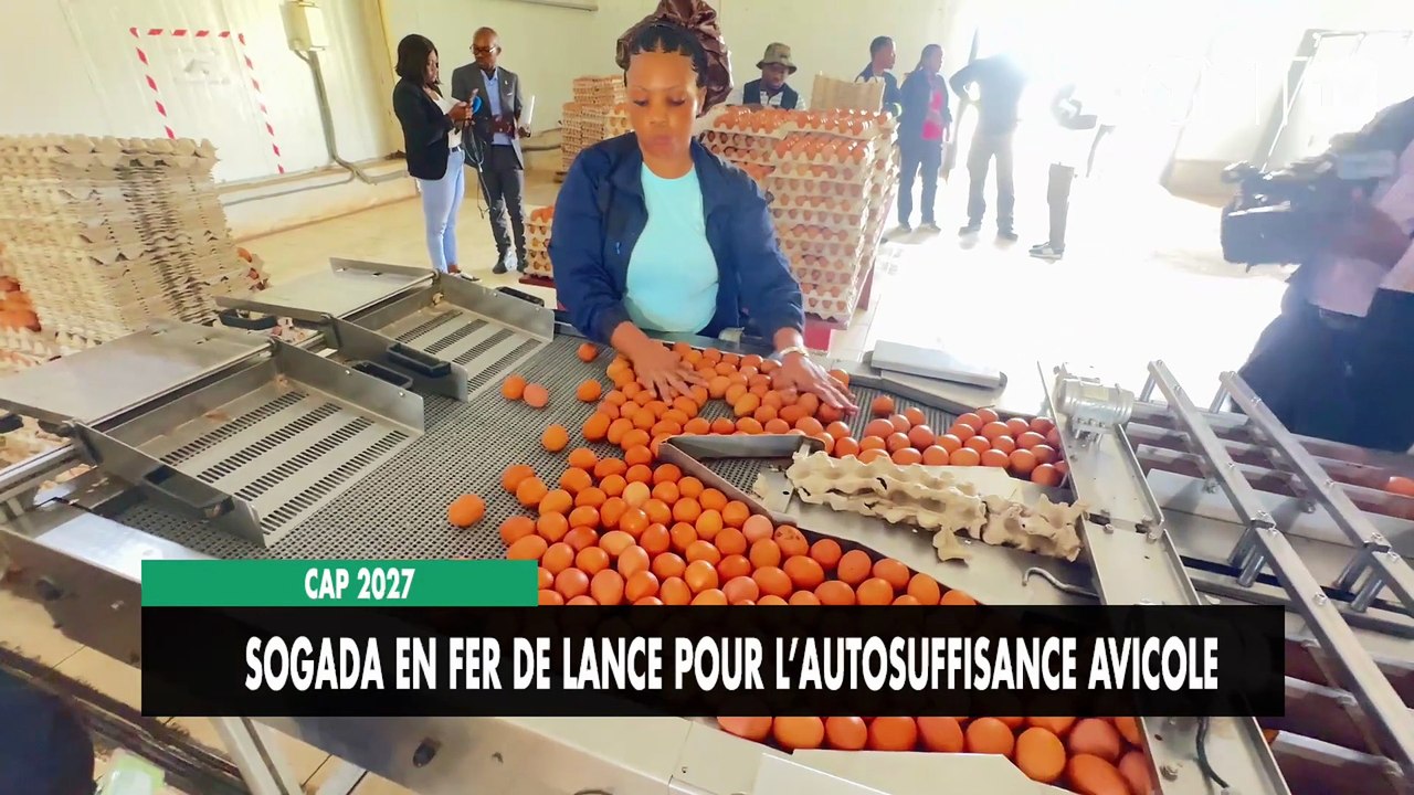 [#Reportage] Cap 2027 : SOGADA en fer de lance pour remplacer l’import de poulet