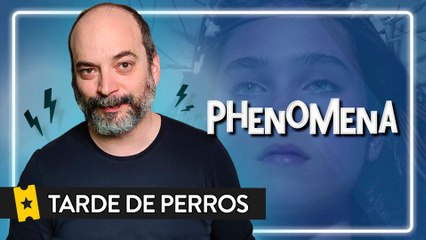 Tarde de perros: Phenomena