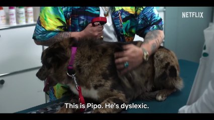 Old Dog, New Tricks ｜ Official Trailer ｜ Netflix