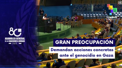 Inicia en Nueva York  80° Asamblea General de la ONU con el genocidio en  Palestina como eje central