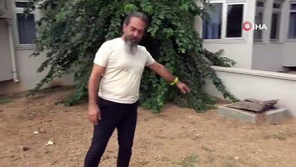 Türkiye'de bir ilk! 16 metrelik dev balina 4 yıl önce gömüldüğü yerden çıkarılacak