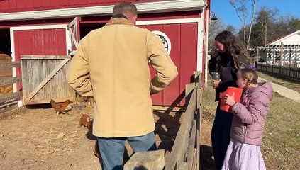 Dateline AU S2025E26: Inside the Rise of the Tradwife Movement 🏡