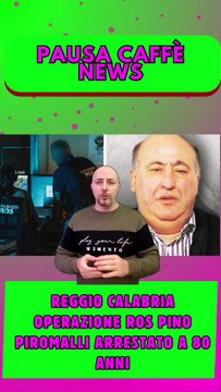 Reggio Calabria operazione Ros Pino Piromalli arrestato a 80 anni