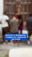 "Bolognina sotto assedio: spacciatori impavidi sfidano la legge tra degrado e insicurezza"