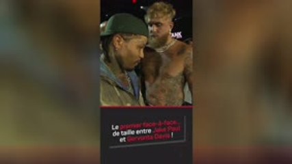 Boxe - Un premier face-à-face... de taille entre Jake Paul et Davis !