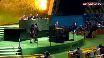 High-level International Conference on the Peaceful Settlement of the Question of Palestine and the Implementation of Two-State Solution