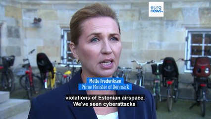 Copenhagen Airport Experiences Drone Incursion Disrupting Critical Infrastructure, Says PM