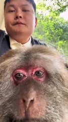 Somebody say we are similar😡 #monkey #monkey #xingxing #cute #lovely