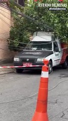 Chuvas em BH: árvore cai sobre carro no bairro Carlos Prates