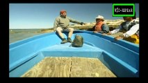 Planeta Único: Baja California - Documental (1996) - Español Latino - Episodio 24