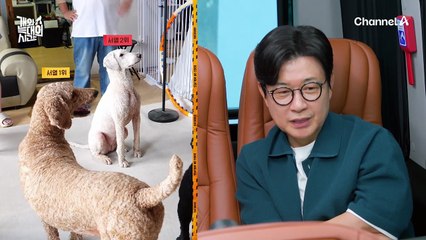 오늘부터 '켄넬' 생활 예정인 늑대 1호네! '공간 인식'을 위한 훈련 시작!