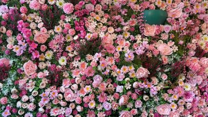 Bakerellys opens in Portsmouth - video by Chris Moorhouse