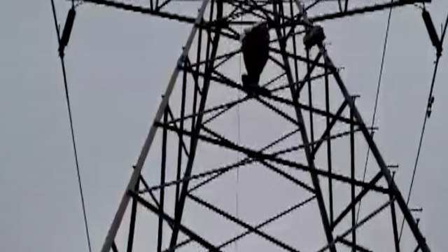 प्रेमिका के लिए टावर पर चढ़ा युवक, Video