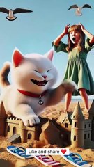 How to Cat and woman far video the interested videos