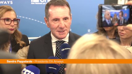 Trasporto aereo, Pappalardo (Ita) "Animali in cabina esigenza reale"