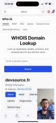 Vous savez qui héberge votre site ? Vous connaissez son adresse IP ?