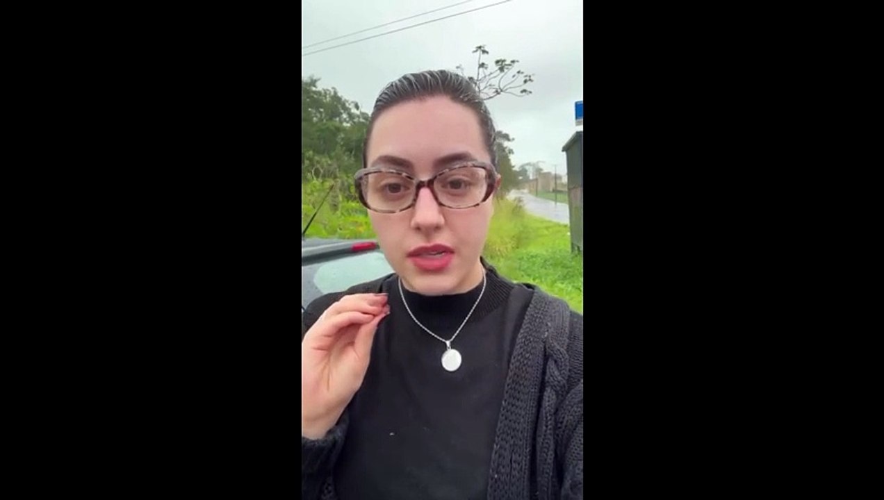 Gato preso em árvore mobiliza protetores e gera crítica por demora em resgate: "Não é justo"