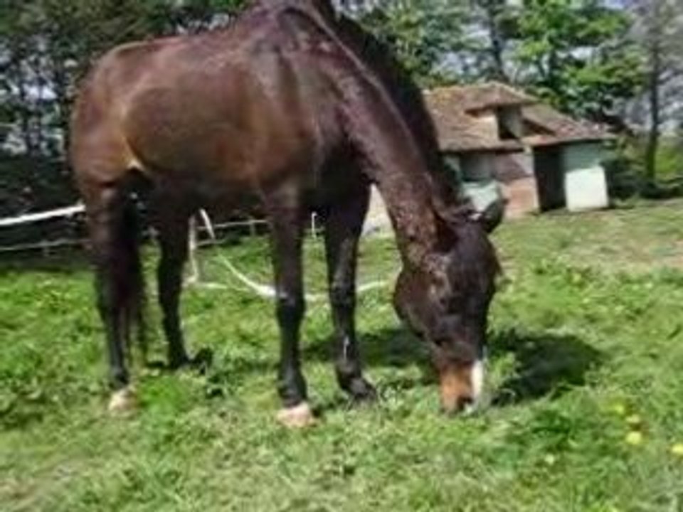 Dédé... quelques semaines après