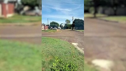 Risco de queda de árvore no Santa Cruz preocupa moradores