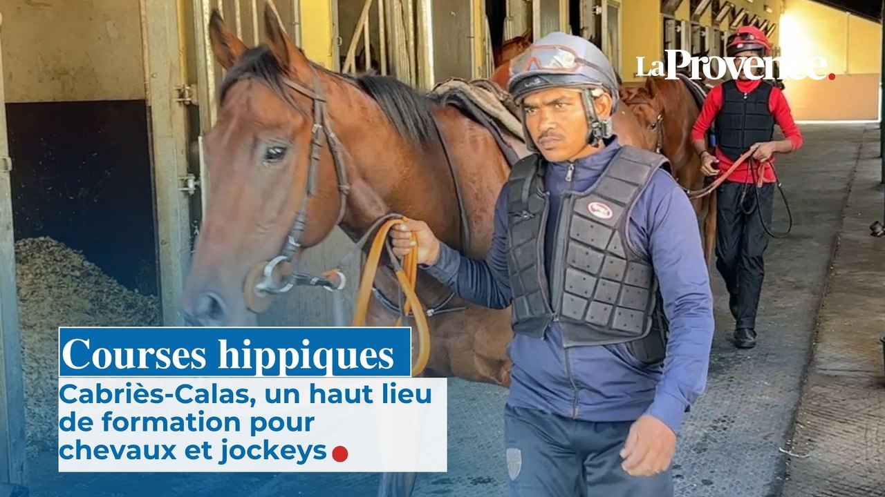 Courses hippiques : Cabriès-Calas, un haut lieu  de formation pour  chevaux et jockeys