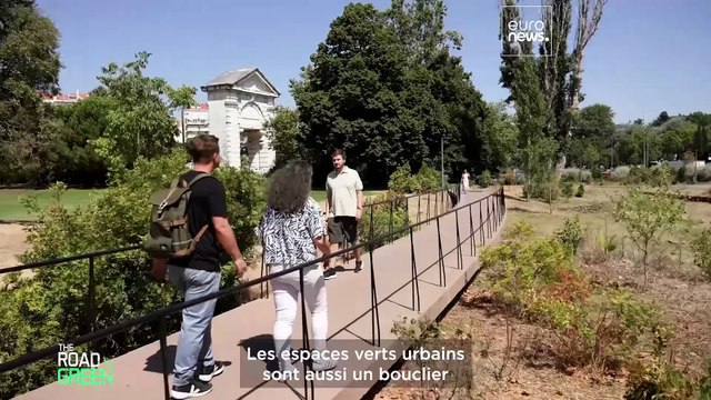 Des villes plus vertes : le succès ou l’échec du pacte vert se jouera-t-il dans nos rues ?