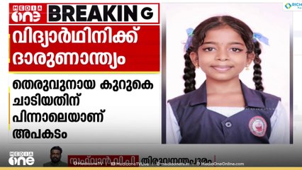 തെരുവുനായ കുറുകെ ചാടിയതിന് പിന്നാലെ വിദ്യാർഥിനിക്ക് ദാരുണാന്ത്യം