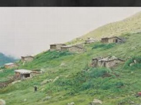 çakut resim 7- kavrun.tr.gg