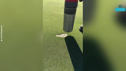 Satisfying Repair of Dead Spot on Putting Green