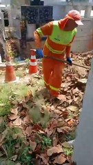 Vídeo mostra condições precárias em cemitério do Jaraguá