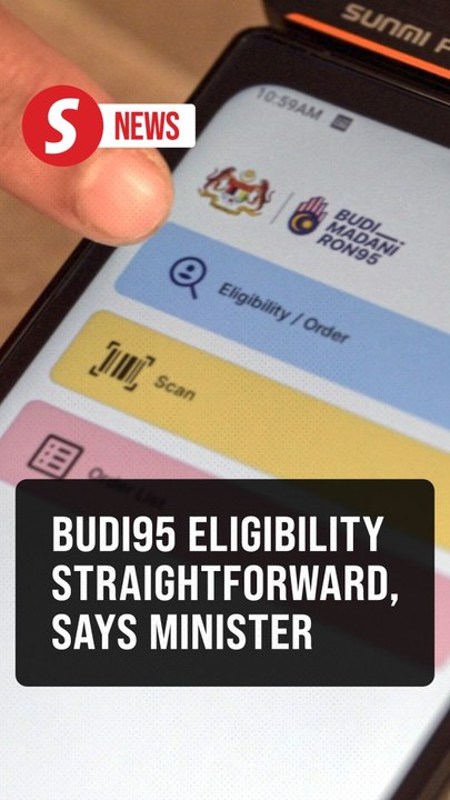 Limited use of Padu data in Budi95 initiative, says Amir Hamzah