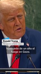NO USAR Donald Trump sobre el reconocimiento de Palestina
