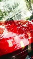 Oops I’m Not a Murphy - Full Movie