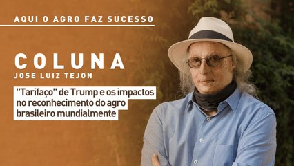 Aqui o agro faz sucesso: "tarifaço" de Trump e os impactos no reconhecimento do agro brasileiro mundialmente