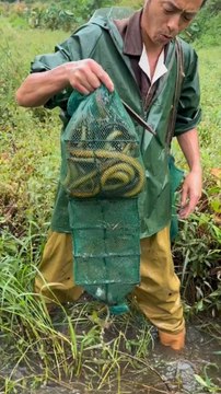 Epic Fishing Tale: Watch This Chinese Man Catch Record-Breaking Fish in Stunning Drama!