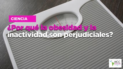 ¿Por qué la obesidad y la inactividad son perjudiciales?