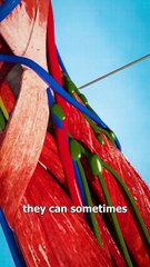 Blown Veins 😟 (explained)