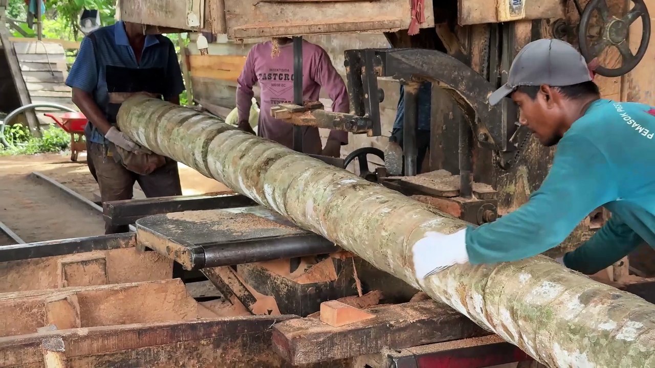 Benefits of 5x7 Coconut Wood after being Processed with a Sawmill Machine