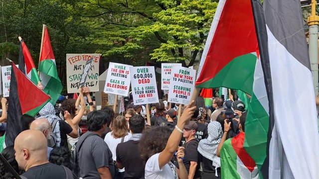 A New York manifestazione pro Palestina nei pressi dell'Onu