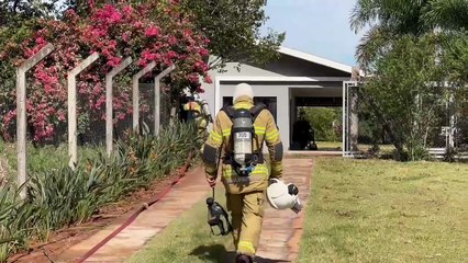 Fogo em chácara de Umuarama mata mais de 300 aves em galinheiro