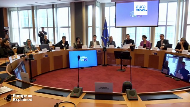 Депутаты Европарламента призывают к активной поддержке гражданского общества в Иране