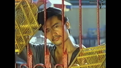 Tài Linh - Người yêu tương lai [OFFICIAL MV] [4K HD REMASTERED]