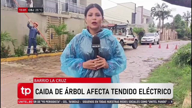 Los fuertes vientos provocaron la caída de árboles en el barrio La Cruz, lo que afectó el tendido eléctrico.