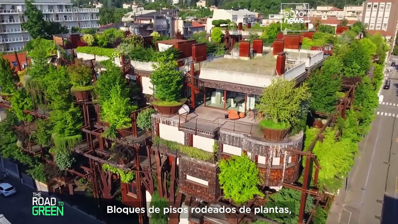 Lo explicamos: por qué hacer ciudades verdes no solo consiste en plantar más árboles