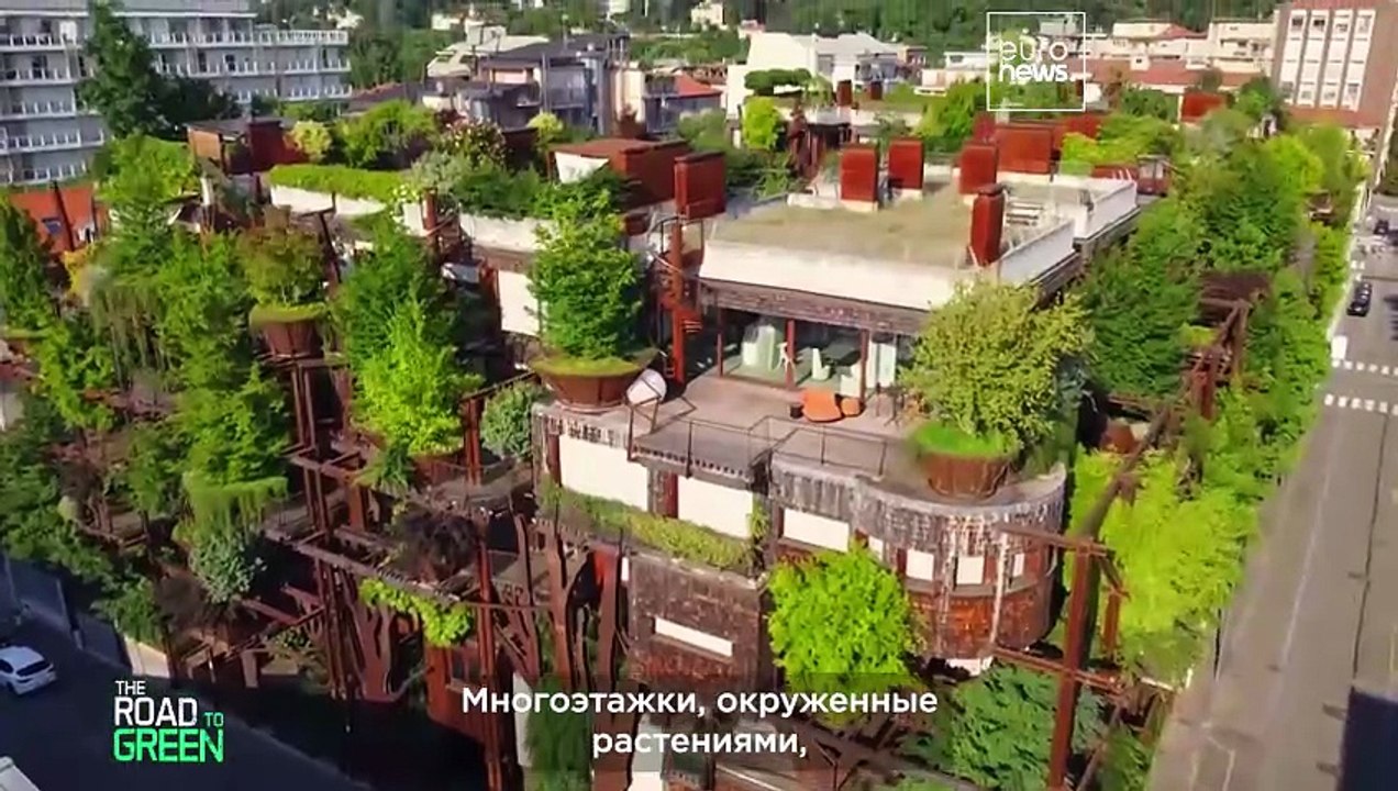 Объясняем: Почему озеленение городов — это не просто посадка большего количества деревьев