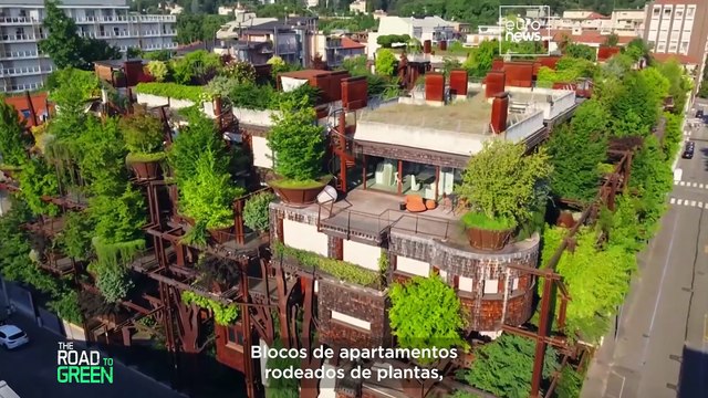 A fundo: tornar as cidades mais verdes vai muito além de plantar árvores