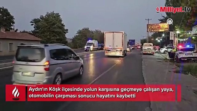 Yolun karşısına geçmeye çalışan yaya otomobilin çarpması sonucu öldü
