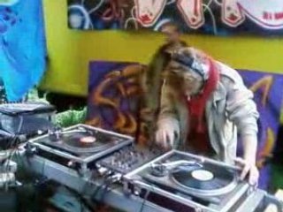 Free Birdthay VTR & Insaissisables @ alsace